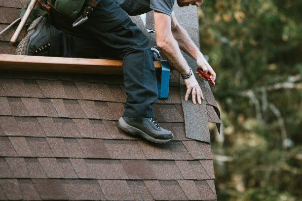 Best Local Roofing Companies  in Wood Dale, IL